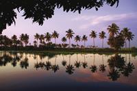 Backwater_Reflections_India-medium